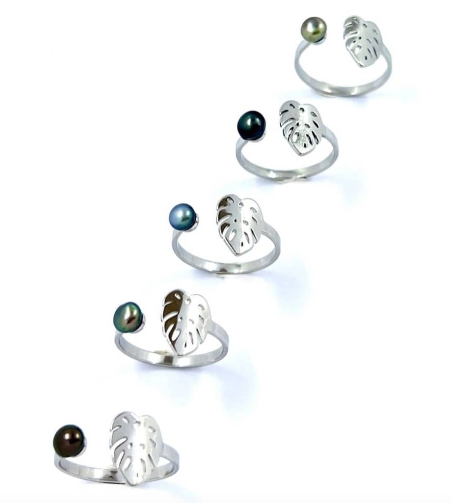 Bague acier Ape et Keishi