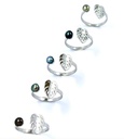 Bague acier Ape et Keishi