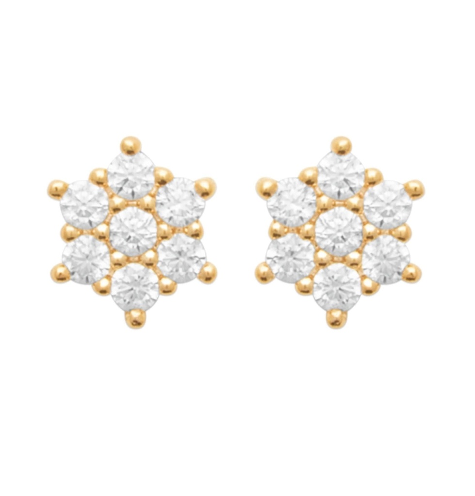 STUDS ETOILE ZIRCONS - PLAQUE OR