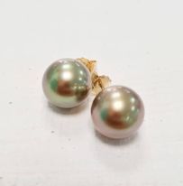 STUDS Perle or