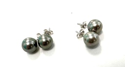 [STUDS11] STUDS PERLES DE TAHITI - monture argent